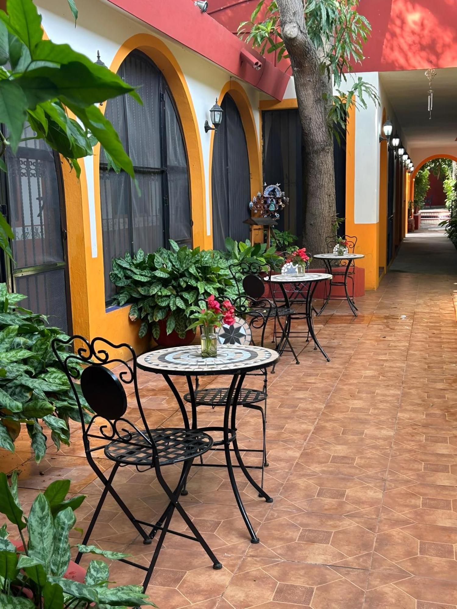 Casa Tres Colibries Bed & Breakfast Mérida Dış mekan fotoğraf