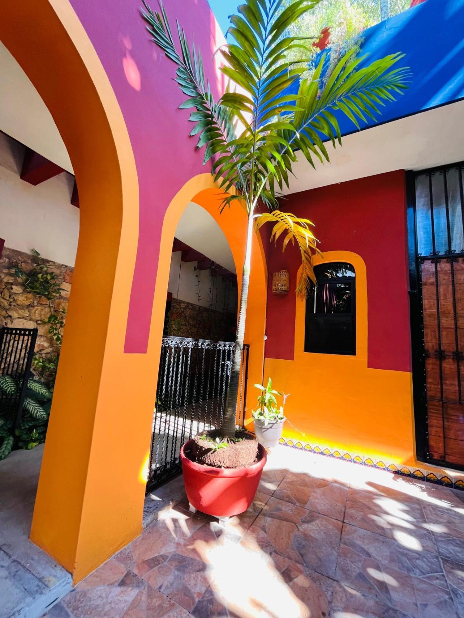 Casa Tres Colibries Bed & Breakfast Mérida Dış mekan fotoğraf